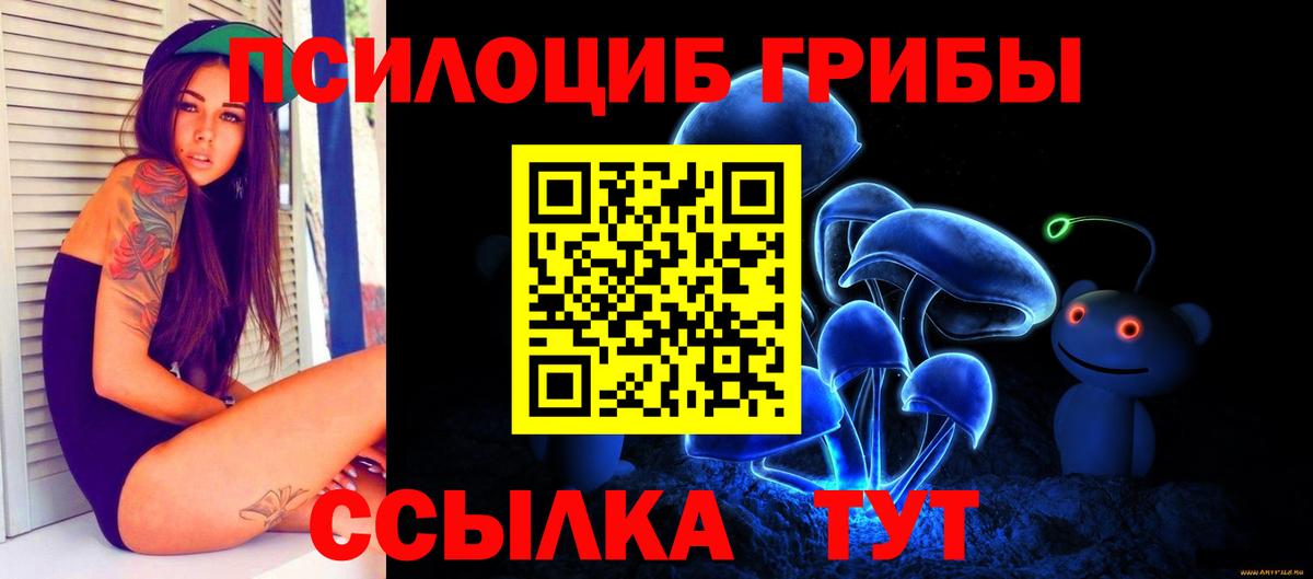 Луга  Псилоцибиновые грибы MAGIC MUSHROOMS  Вход с VPN  Псилоцибиновые грибы прущие грибы 